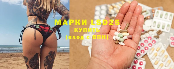 apvp Алексин