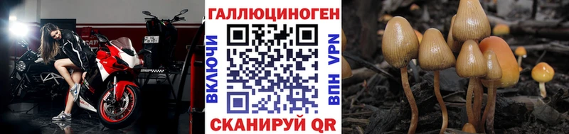 Псилоцибиновые грибы MAGIC MUSHROOMS  OMG рабочий сайт  Карабулак 