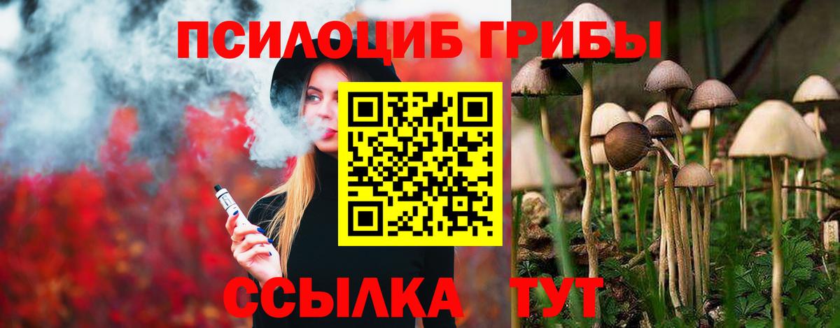 Псилоцибиновые грибы Psilocybine cubensis  Вход с VPN  Галлюциногенные грибы Psilocybe  Карабулак 